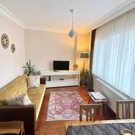 1 Bedroom In The Heart Of Istanbul Taksim Square In Cihangir דירה *